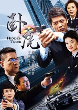 Hidden Tiger (2016)