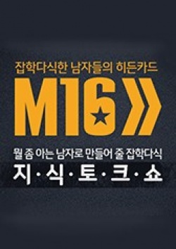 M16 cover