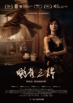 Sparrow cover