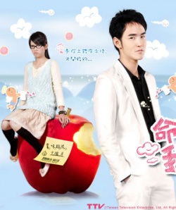 Fated to Love You (Taiwanese) cover