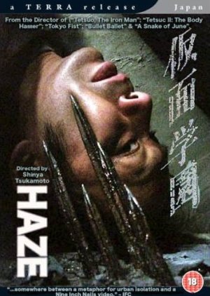 Haze (2005) cover