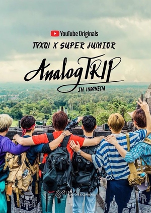 Analog Trip cover