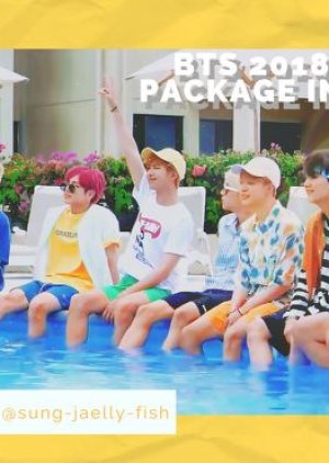 BTS SUMMER PACKAGE 2018