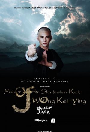 Master Of The Shadowless Kick Wong Kei-Ying cover