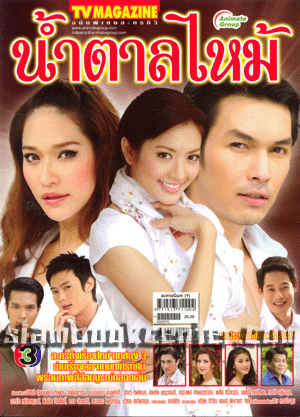 Namtan Mai (น้ำตาลไหม้) cover