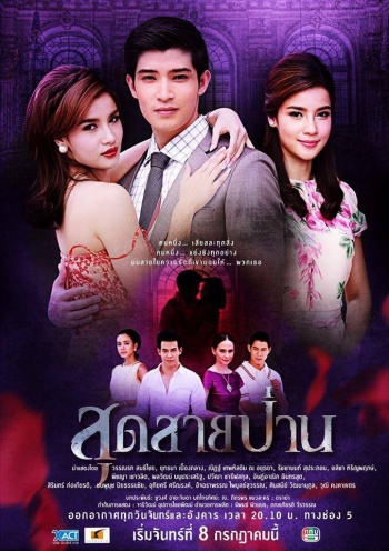 Sud Sai Paan (สุดสายป่าน) cover