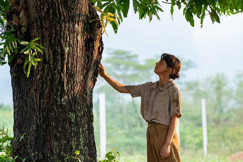 Under the Mango Tree SP