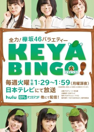 KeyaBingo!: Season 1