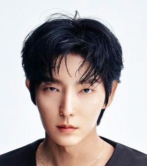 Lee Joon Gi (1982)