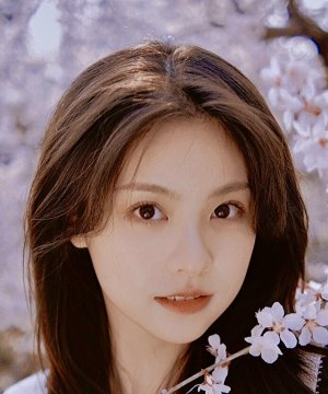 Lin Zi Lu (1999)