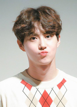 Kim Joon Myeon (Suho) (1991)