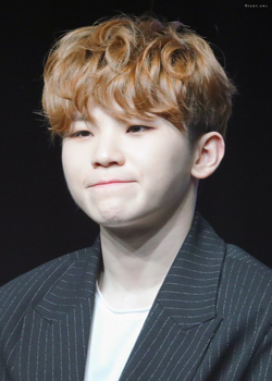 Lee Ji Hoon (Woozi - SEVENTEEN) (1996)